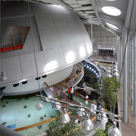 A view of the planetarium dome and Reef Lagoon © Tim Griffith 2008